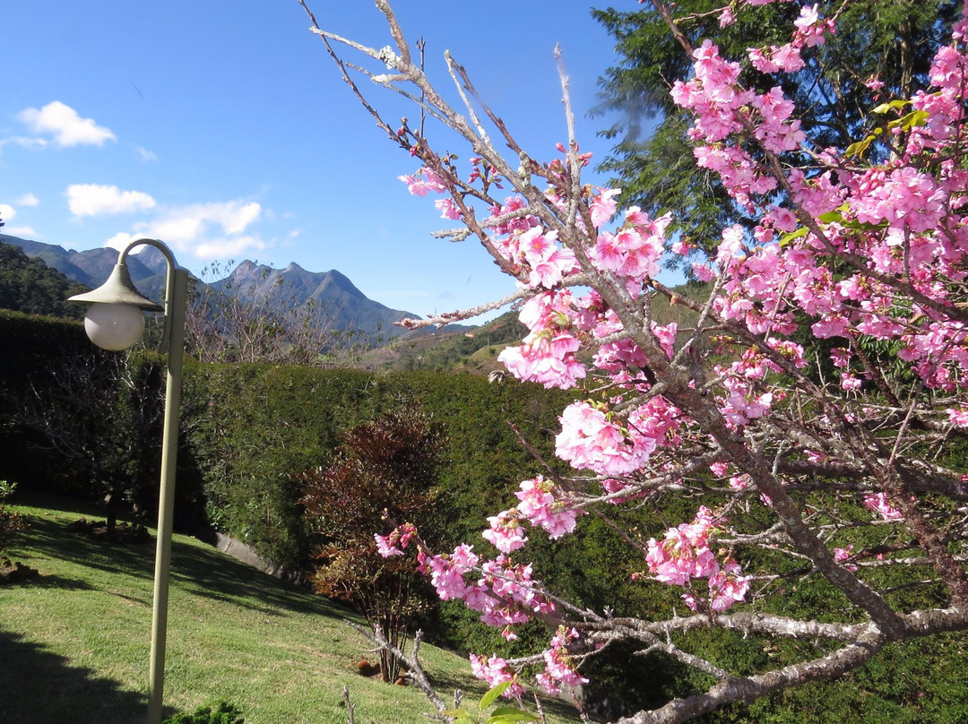 Mulher de Pedra-特雷索波利斯必去景点