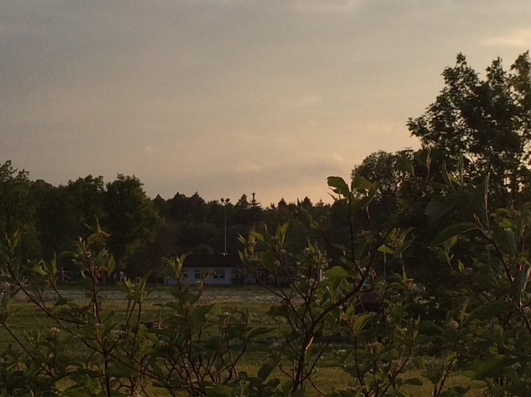 Walddorfhaeslach餐馆和美食-Sportgaststäette Dettenhausen