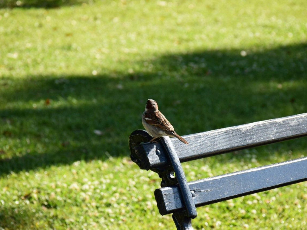 All About Charleston-查尔斯顿必去景点