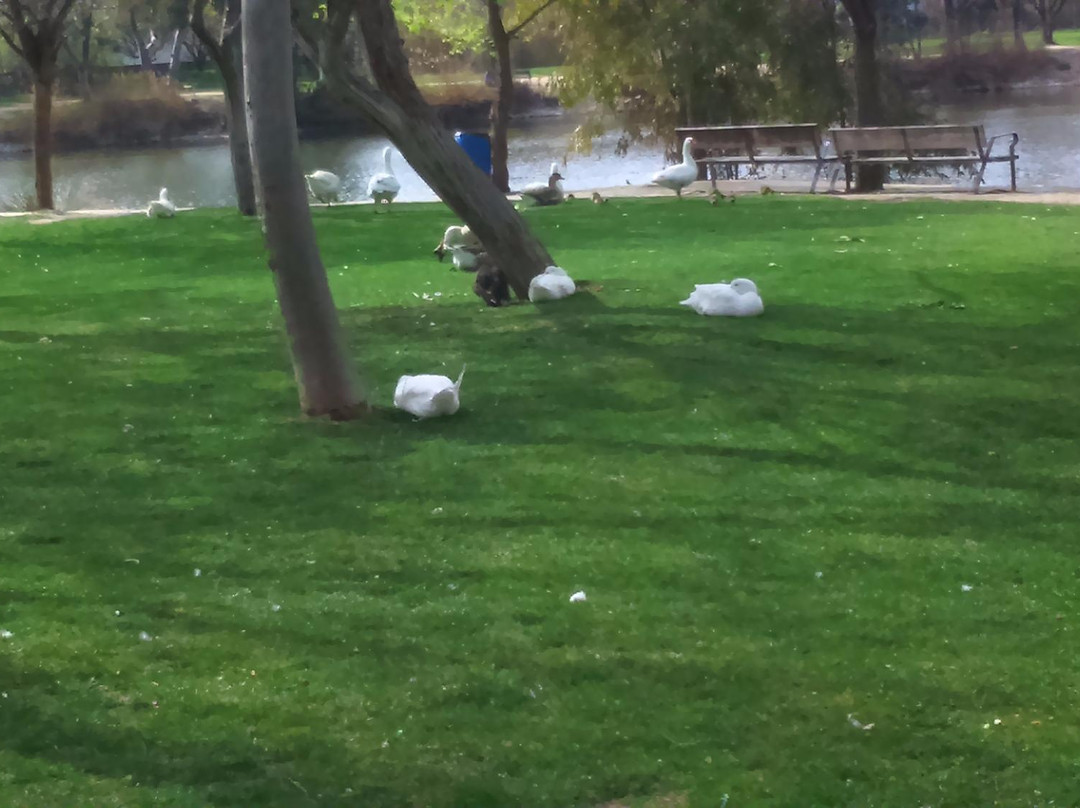 Parque Tierno Galvan-圣马丁德拉维加必去景点