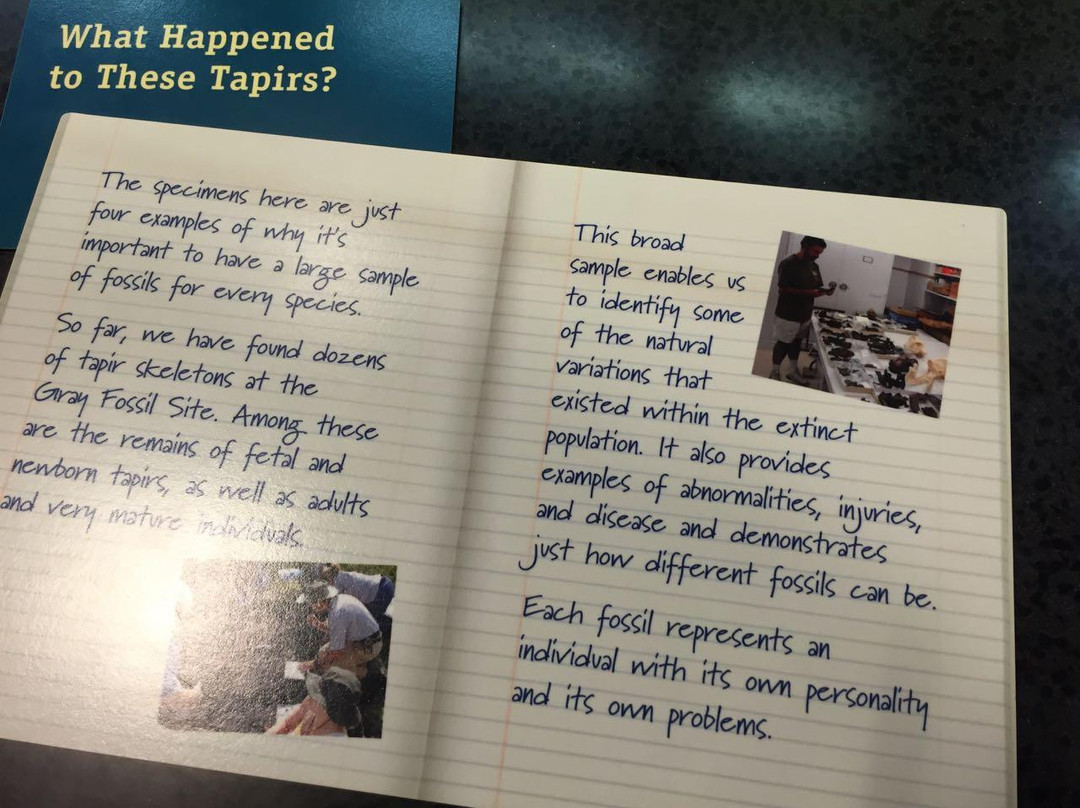 East Tennessee State University and General Shale Natural History Museum-Gray必去景点