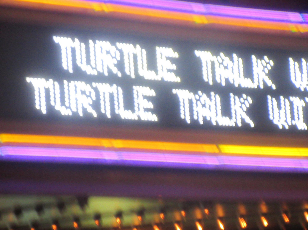 Turtle Talk with Crush景点图片