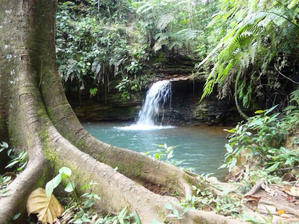 Cachoeira do Nhonho景点图片