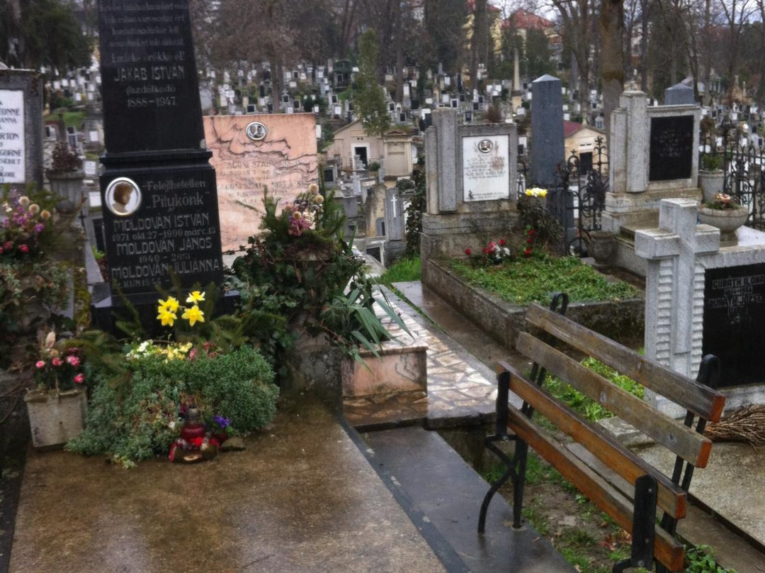 Cimitirul Central景点图片