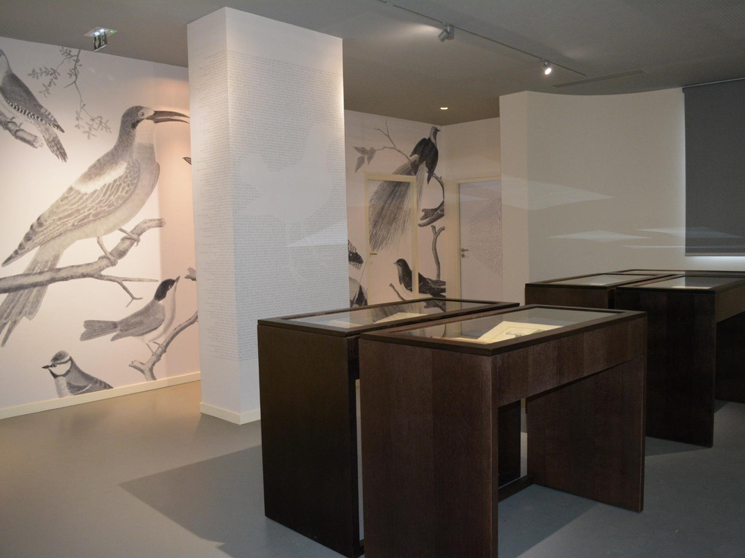 Musee Medard-Lunel必去景点
