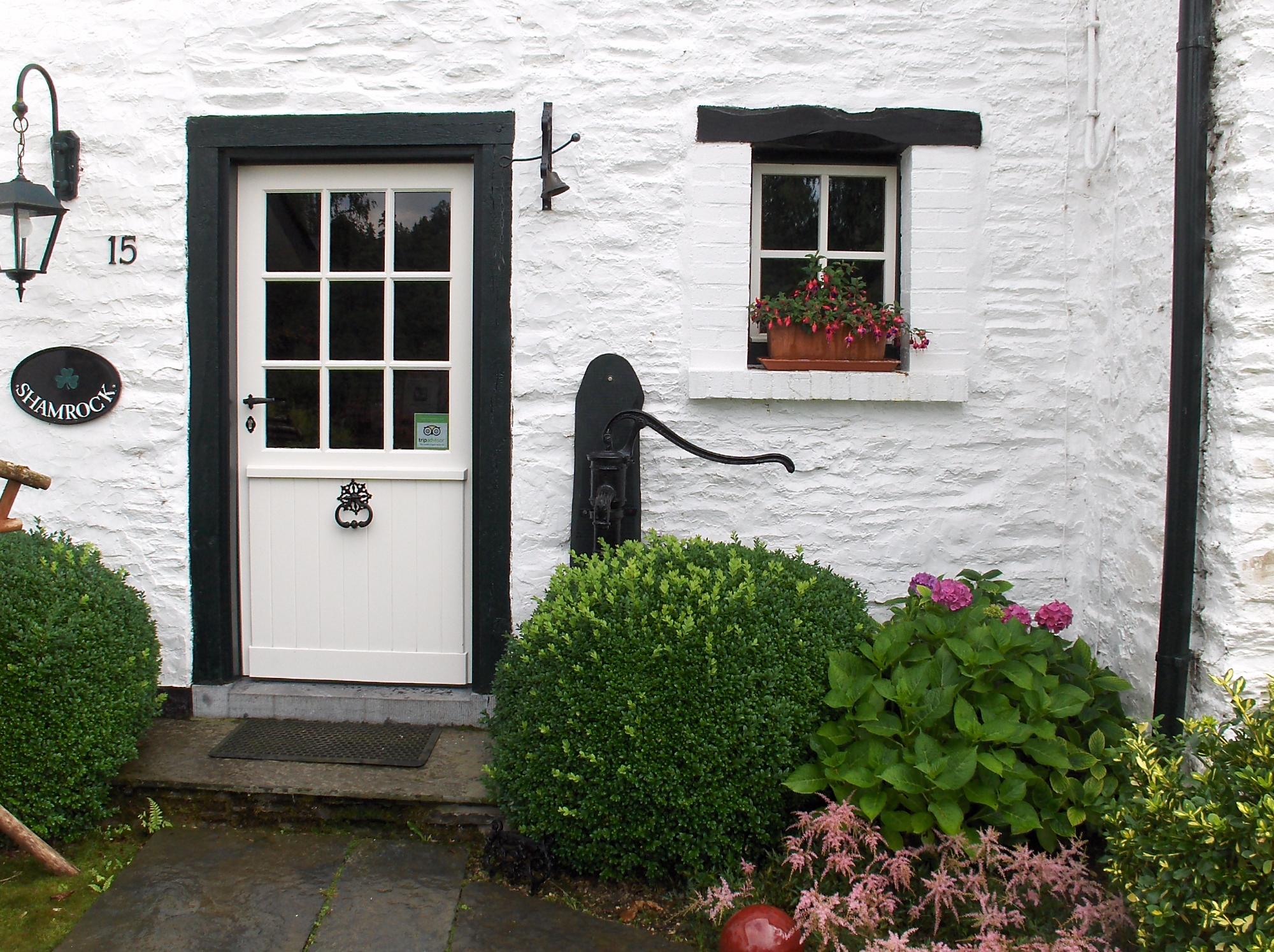 Shamrock Guesthouse-官方