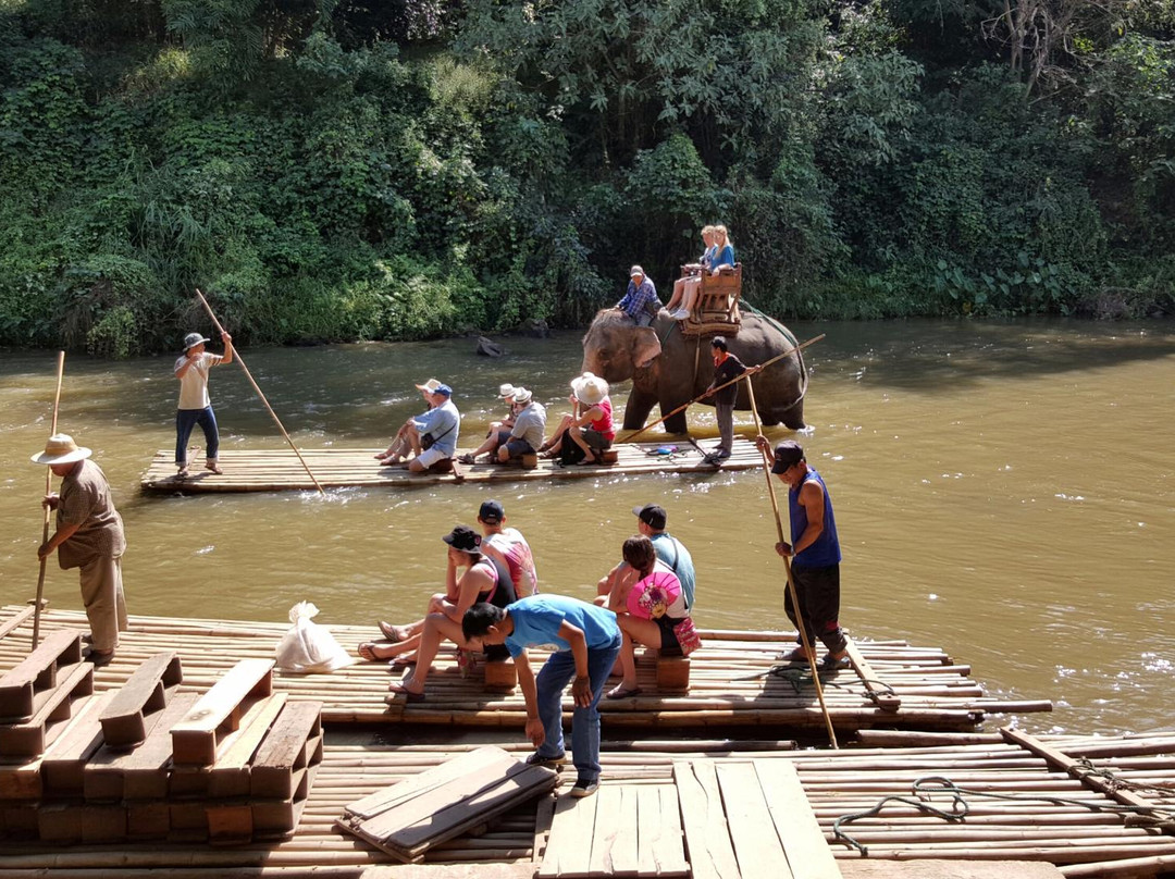 Chiangmai Survey - Private Day Tours景点图片