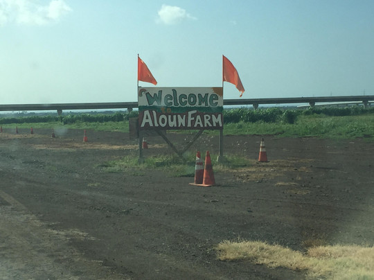 Aloun Farms-火奴鲁鲁必去景点