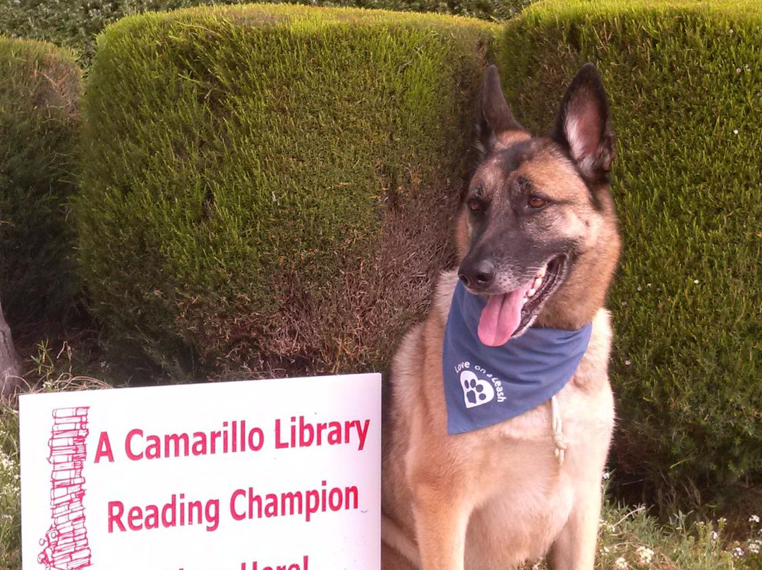 Camarillo Public Library-卡马里奥必去景点