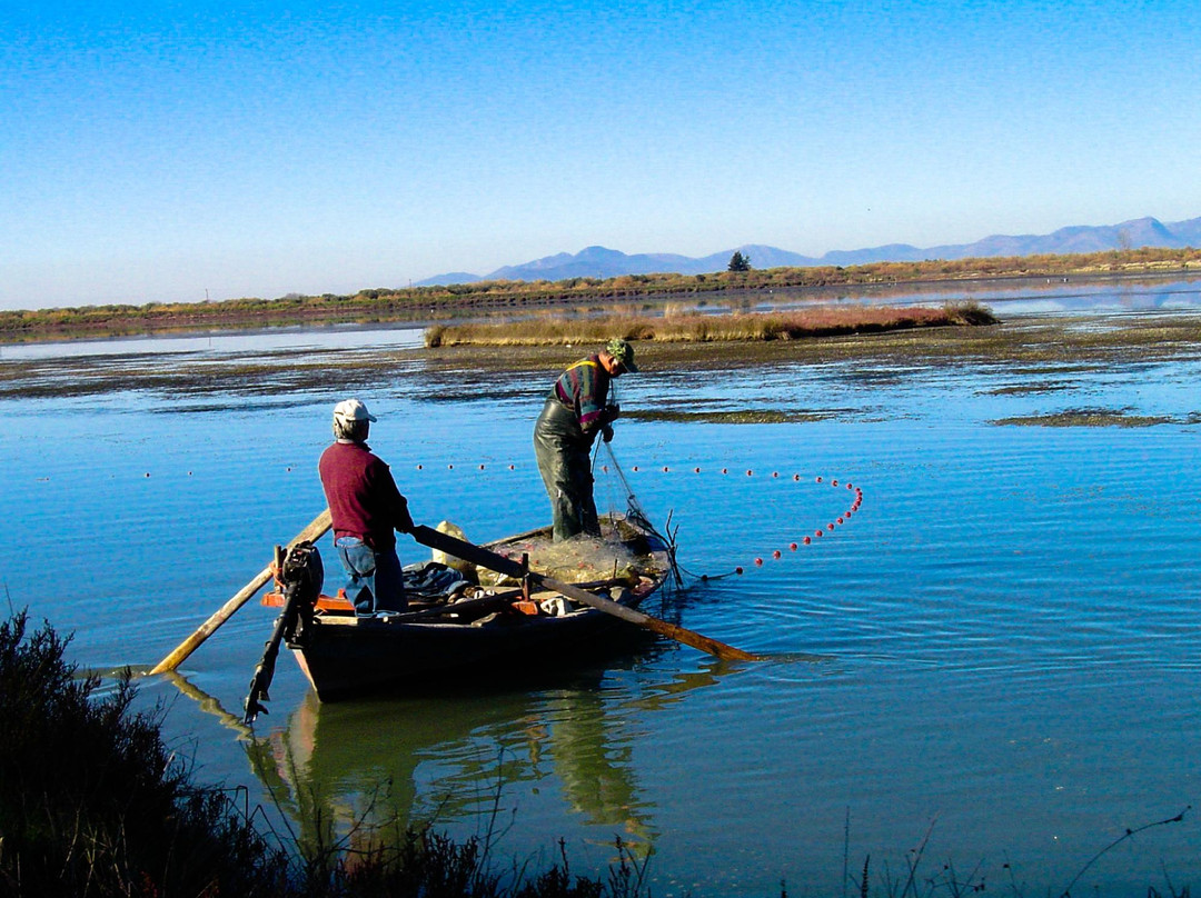 Trekking Hellas Preveza Day Tours-Neochori必去景点