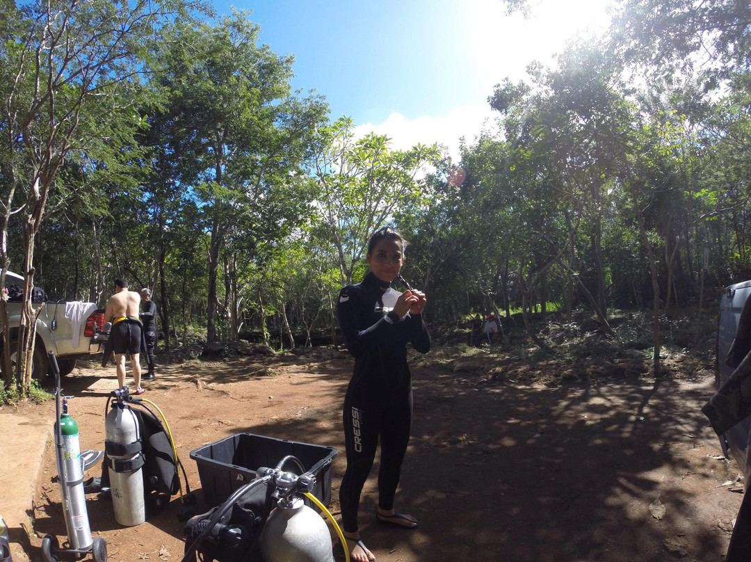 SCA Dive & Freedive Center-梅里达必去景点