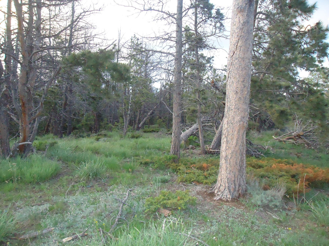 欢乐杰克小路-夏延必去景点