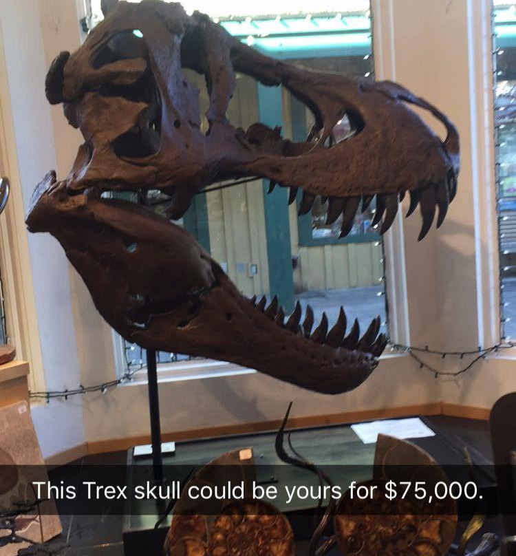 Wild By Nature Gallery-杰克逊必去景点