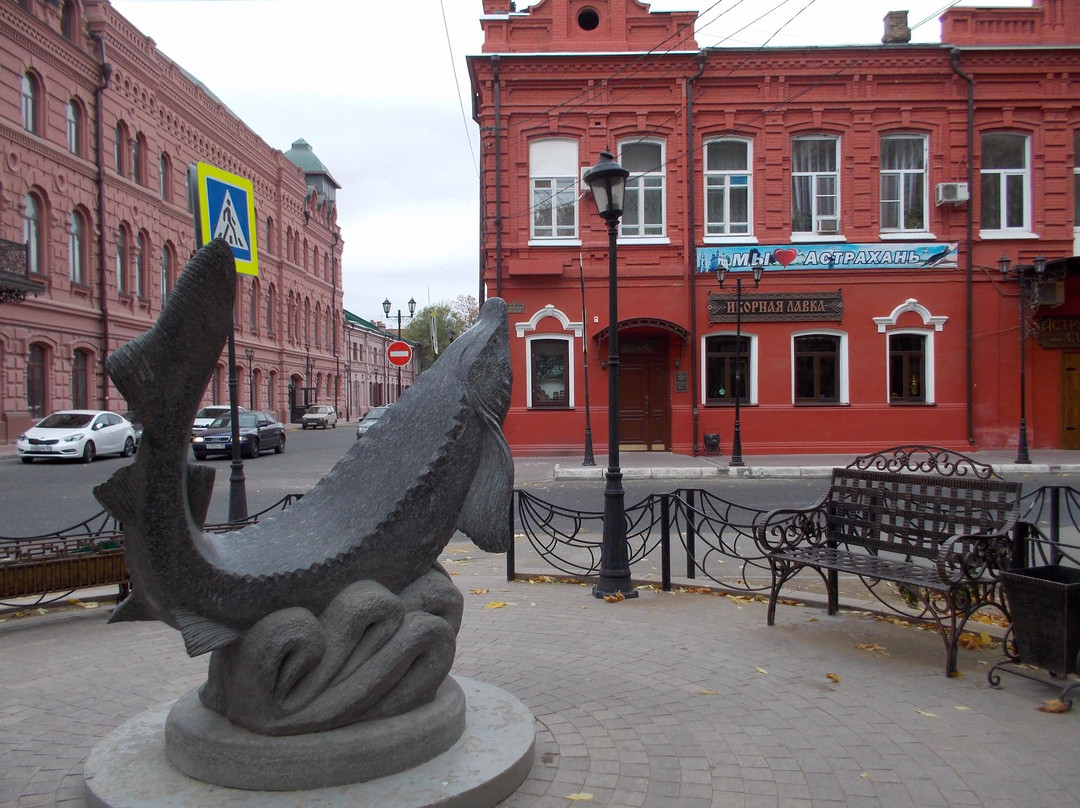 Monument to the Sturgeon-阿斯特拉罕必去景点