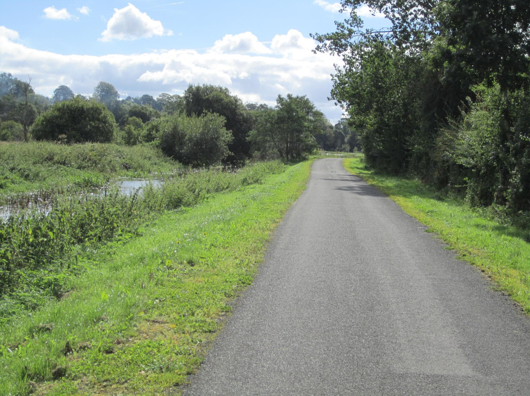 Newry Canal Towpath景点图片