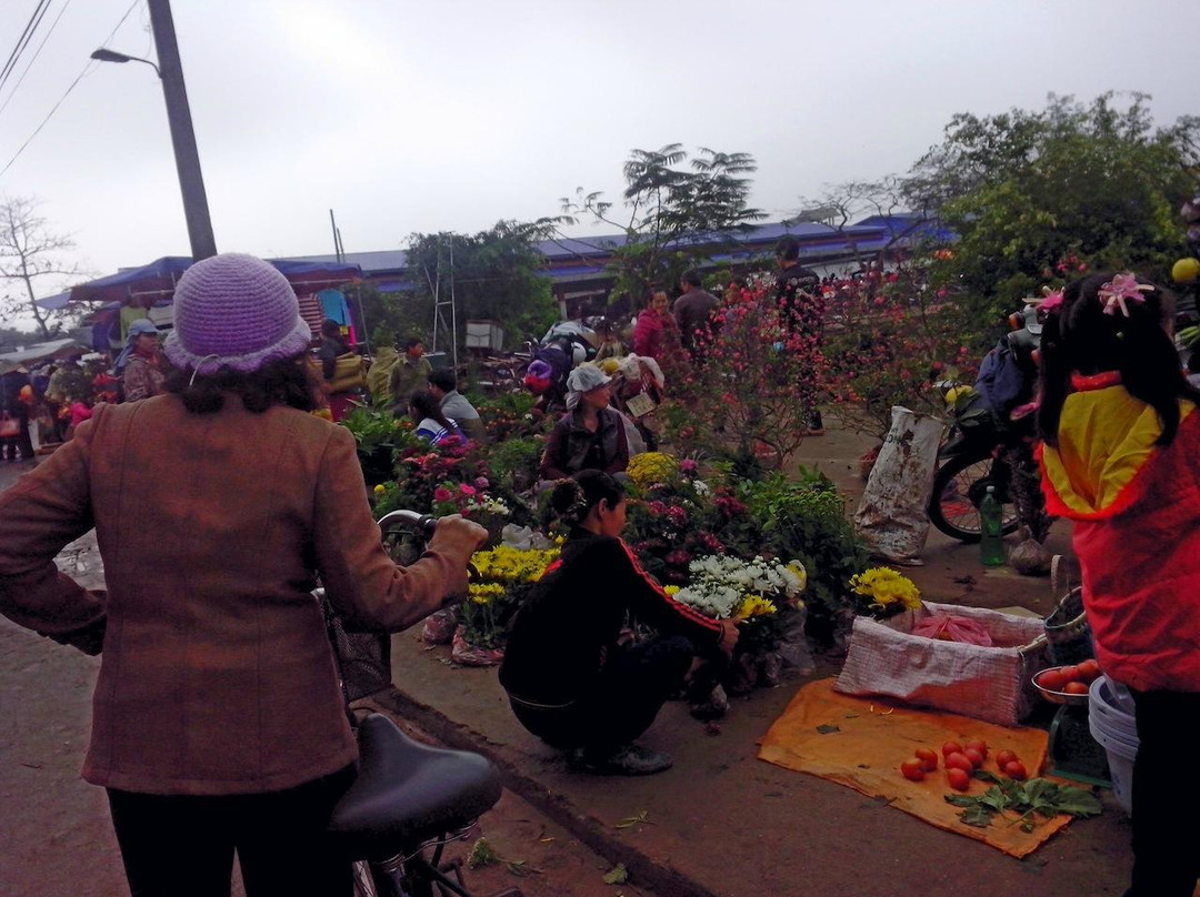 Thong market-Thai Binh必去景点
