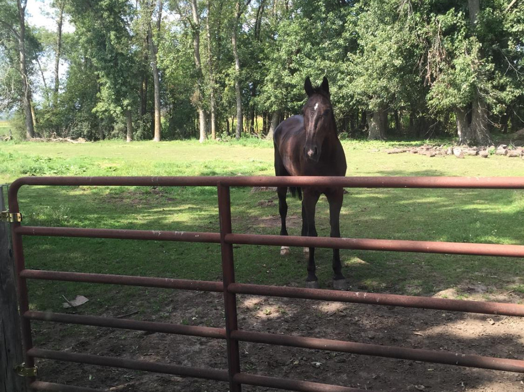 R & M Amish Tours-Lanesboro必去景点