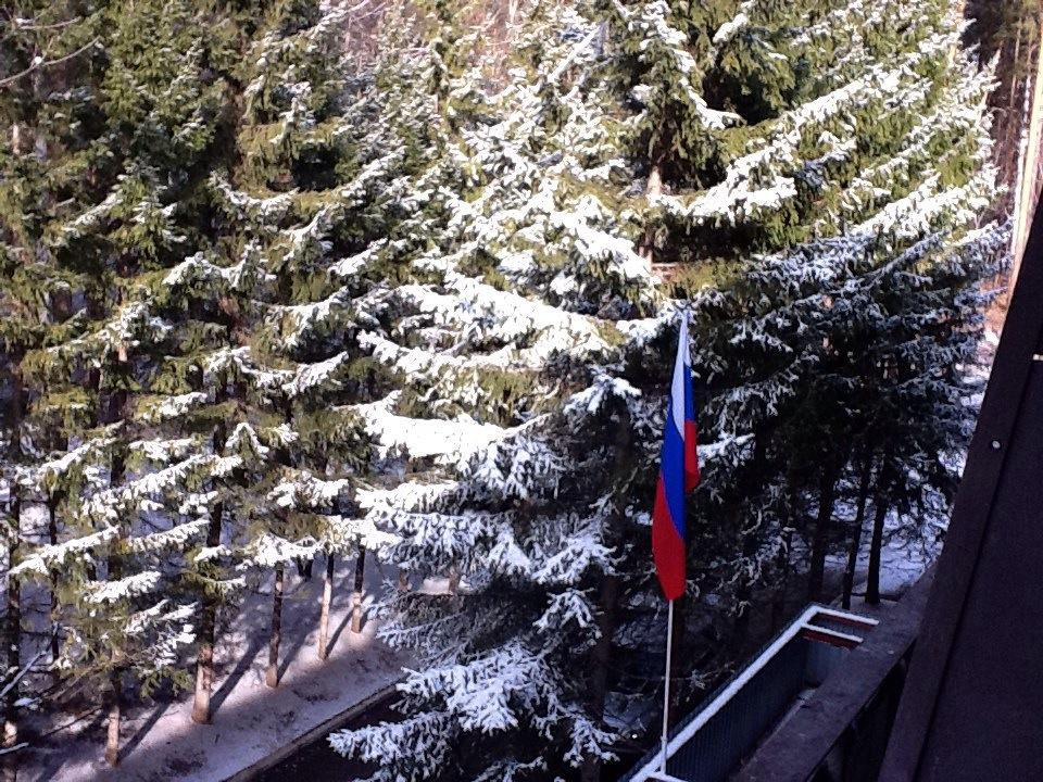 Zvezdny