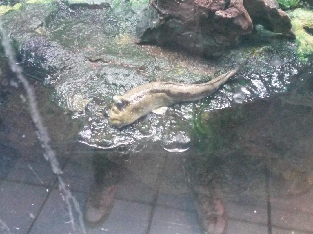 Museum des Sciences Naturelles-奥尔良必去景点
