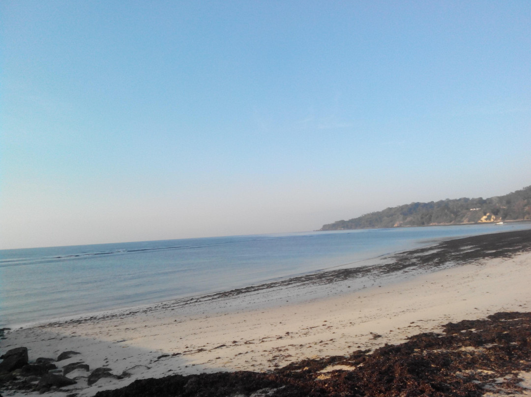 Rua Beach景点图片