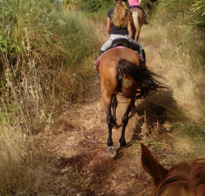 Horse Riding Kourkoumeli-科孚必去景点