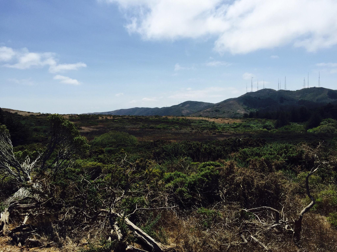 San Bruno Mountain-圣布鲁诺必去景点