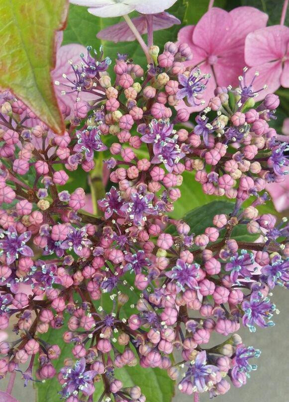 University of Agriculture-Faisalabad必去景点