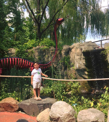 Camden Children's Garden-肯顿必去景点