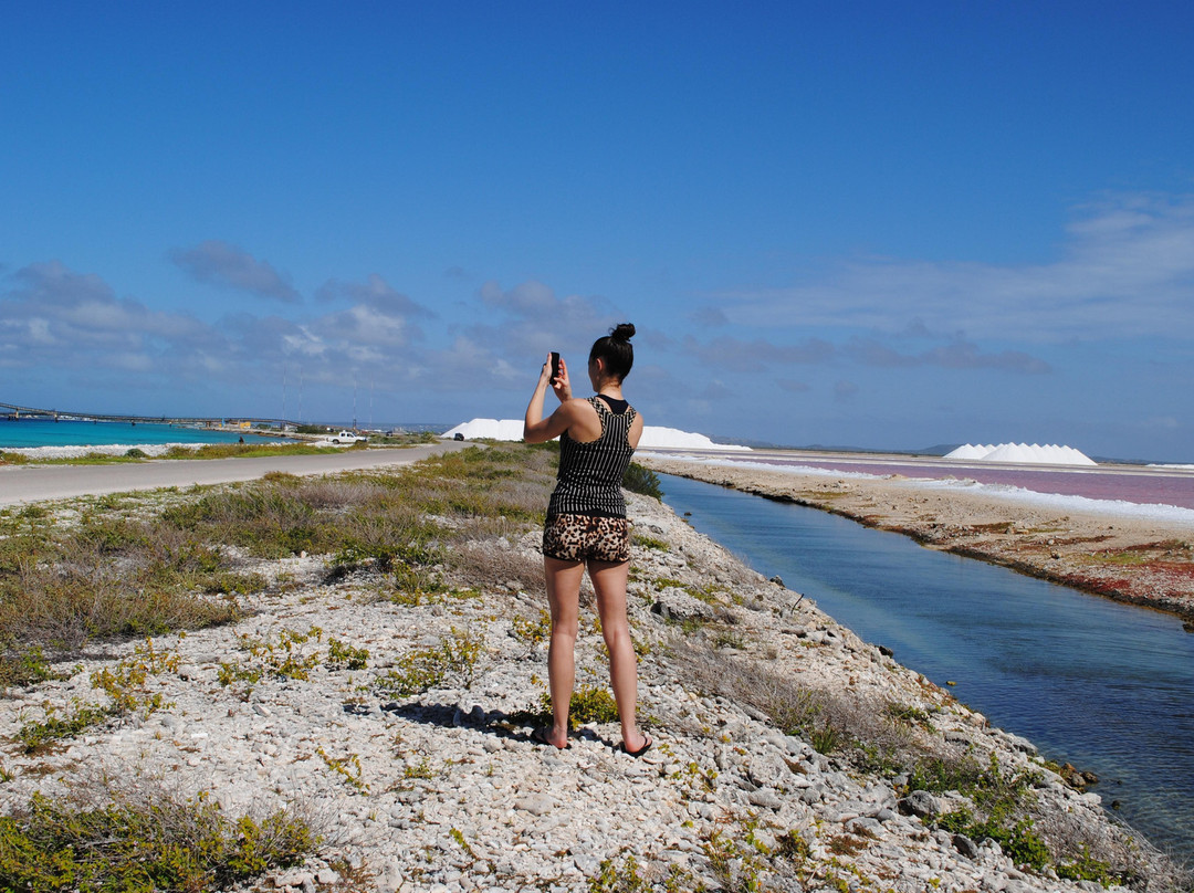 Bonaire Tours & Vacations-Kralendijk必去景点