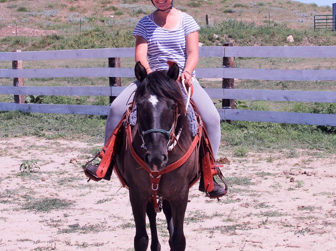 Windcross Conservancy-Buffalo Gap必去景点