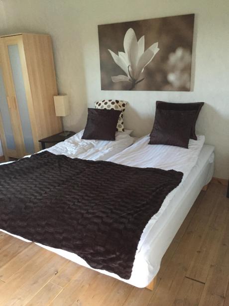 艾里斯托尔普酒店-客卧