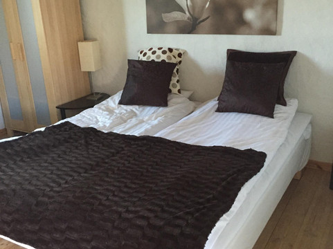 艾里斯托尔普酒店主图