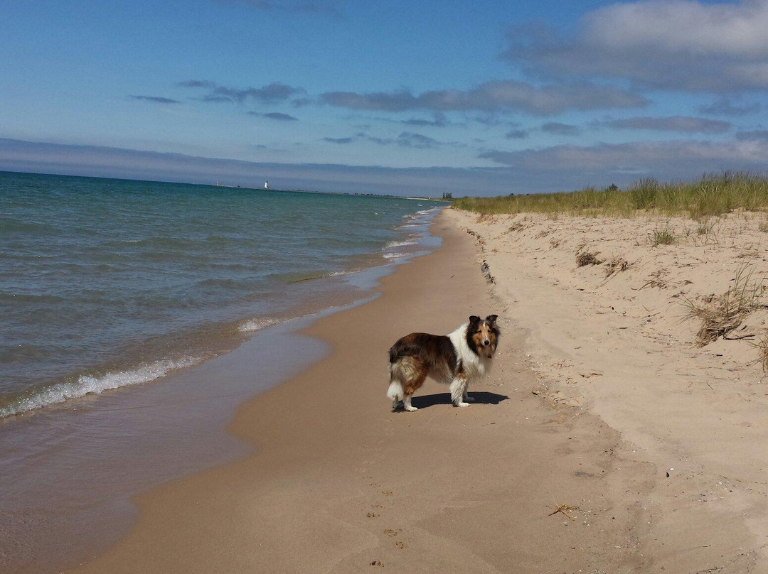 Buttersville Park-拉丁顿必去景点