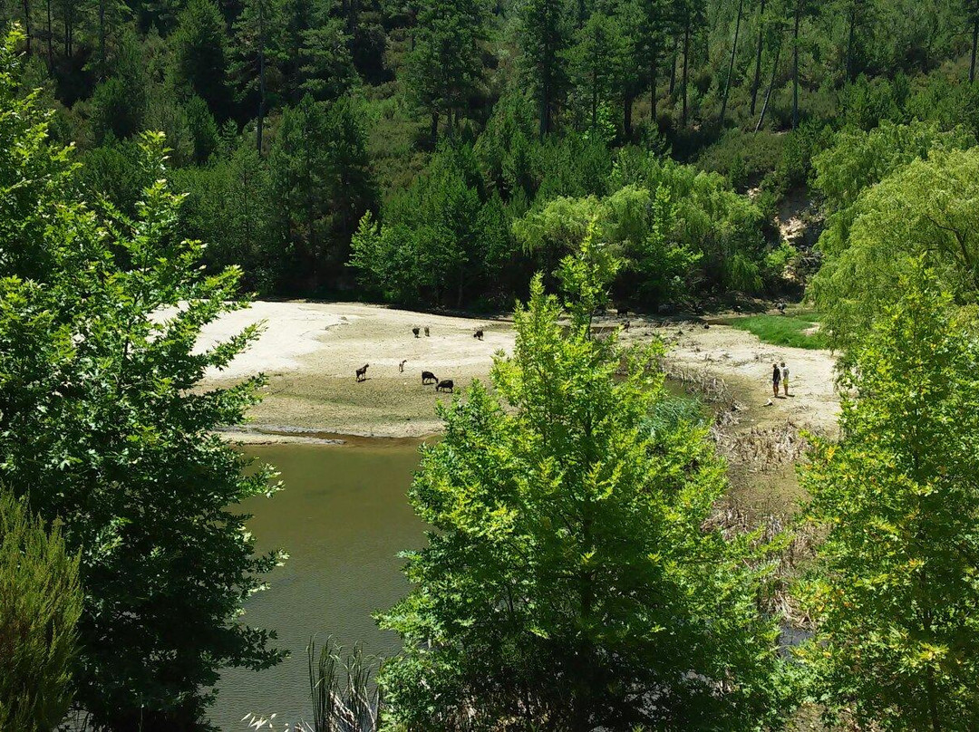 Lake Marion-Thassos Town (Limenas)必去景点