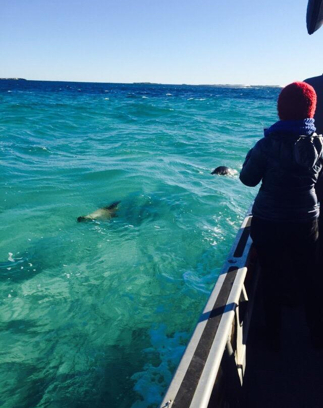 Turquoise Safaris-朱里恩湾必去景点