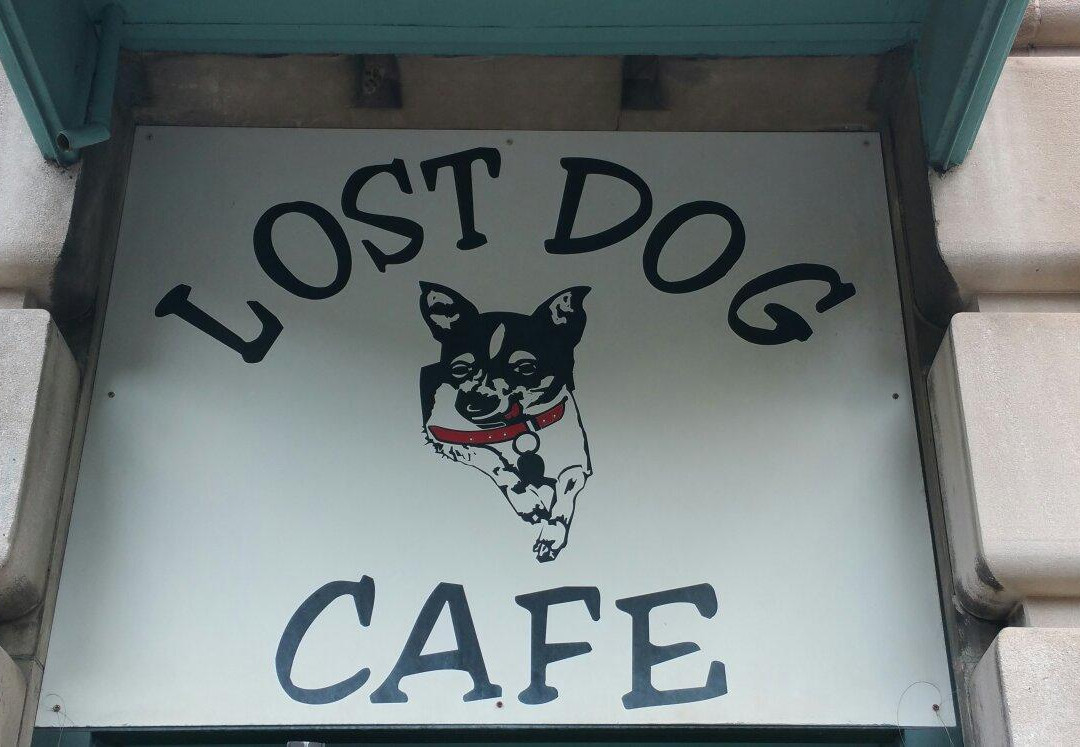 Lost Dog Cafe景点图片