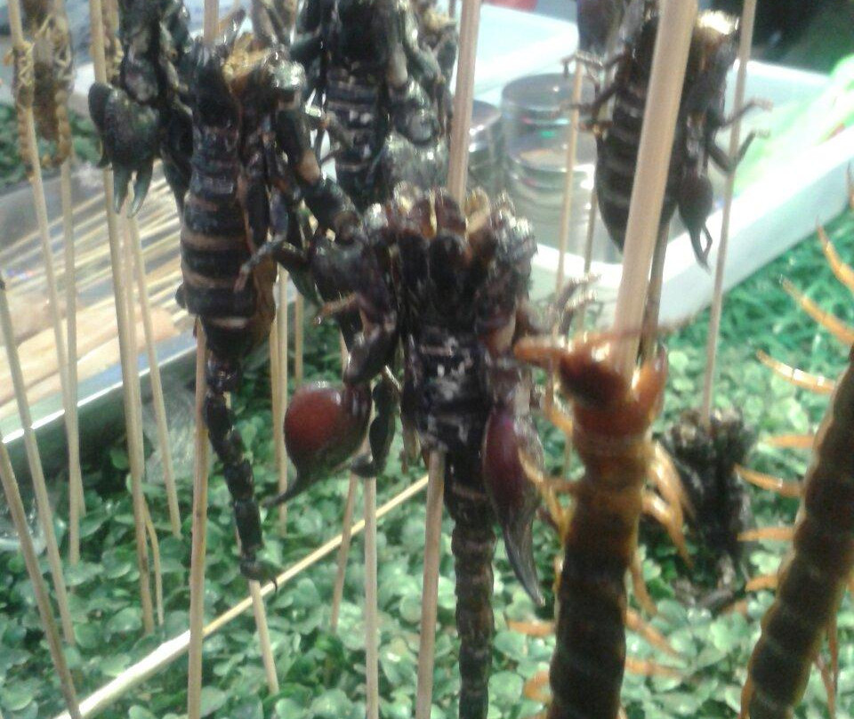 兴顺国际观光夜市-沈阳市必去景点