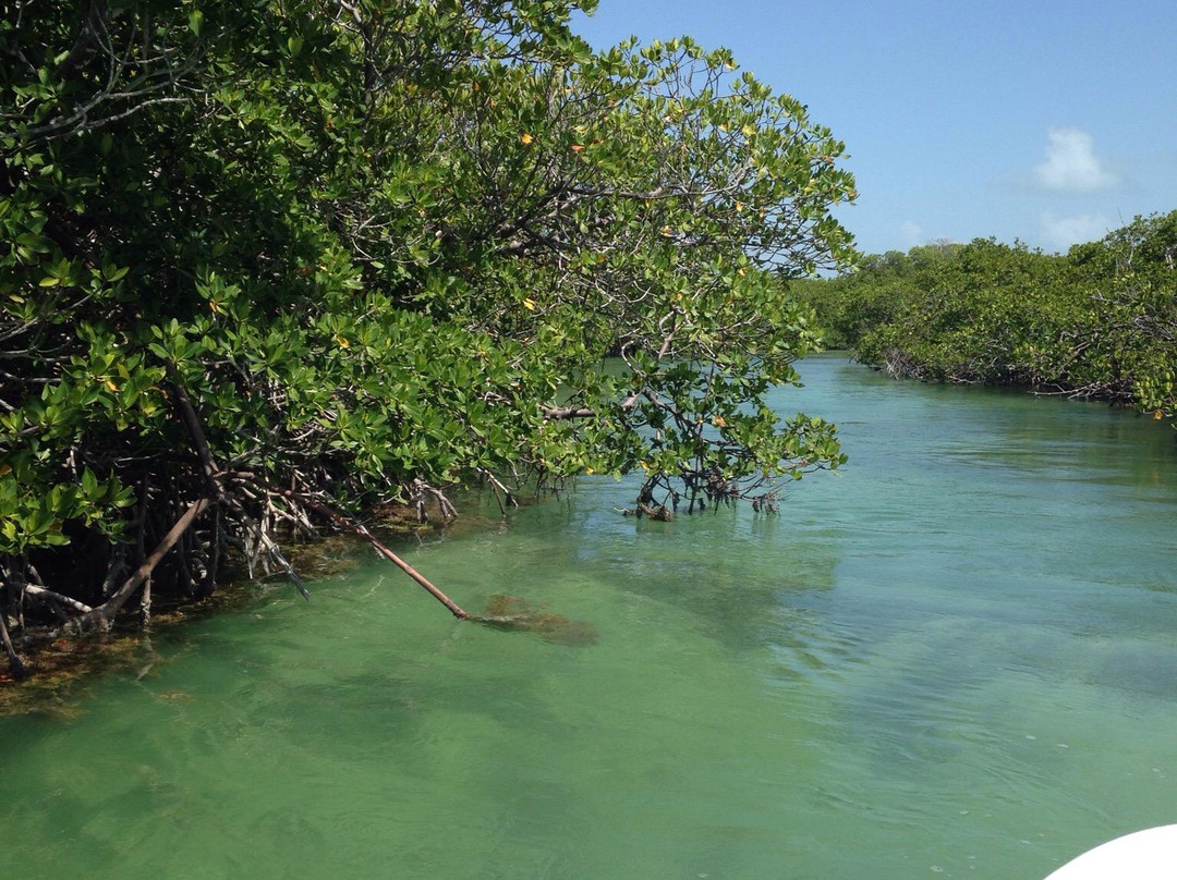 Elliott Key-比斯坎国家公园必去景点