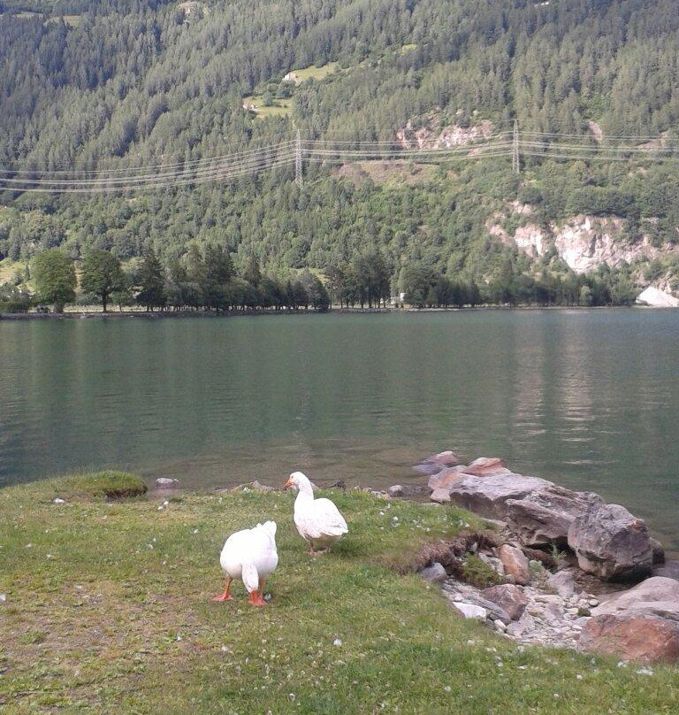 Lago di Poschiavo-Le Prese必去景点