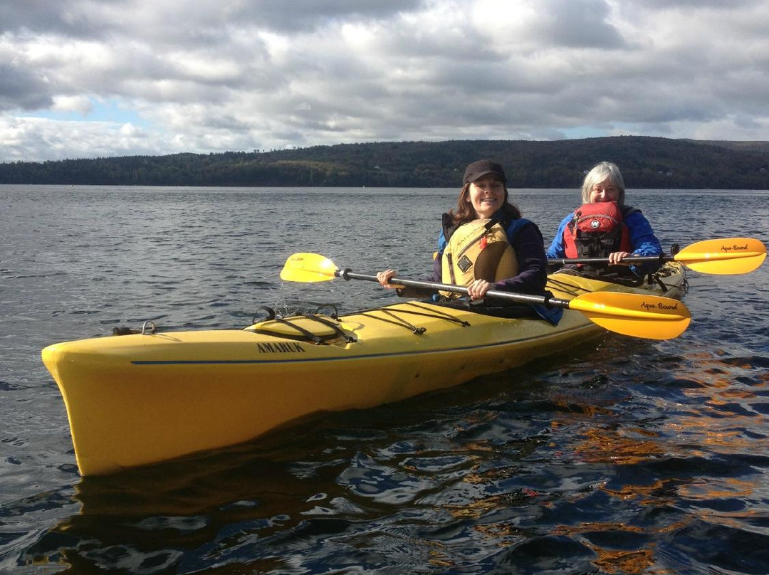 Paddledog Kayak Tours景点图片