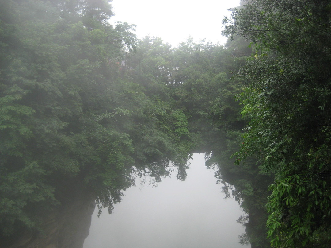 天子山云海-张家界市必去景点