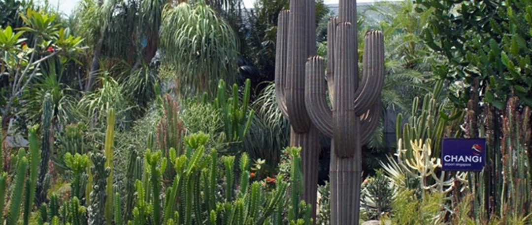 Cactus Garden-新加坡必去景点