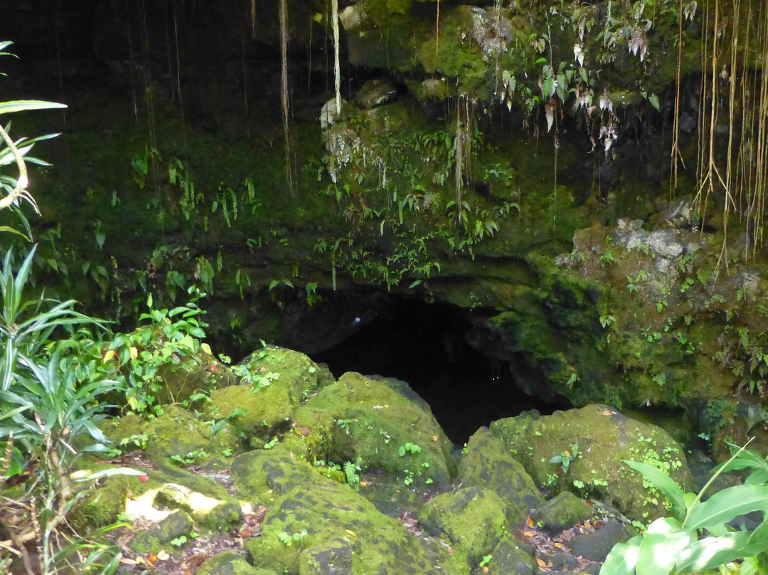 Kaumana Caves Park-希洛必去景点