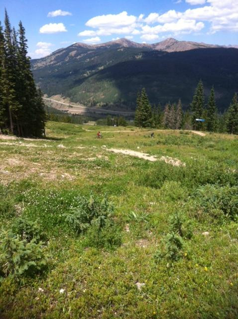 Pioneer Sports-弗里斯科必去景点