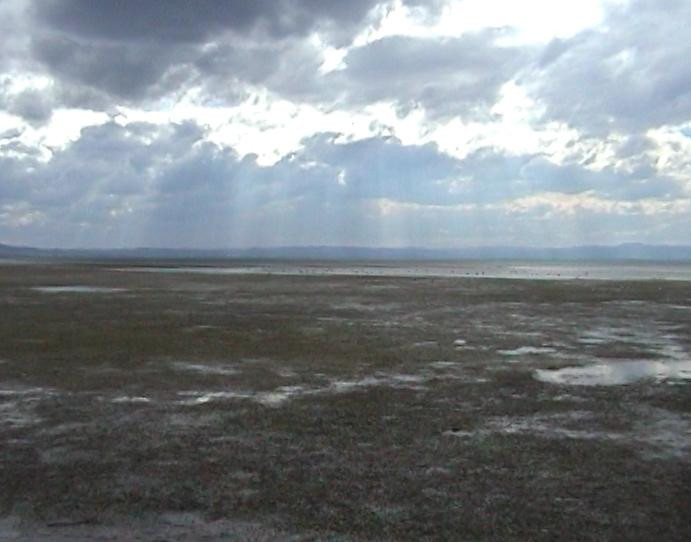 Yanakie/Duck Point Loop-Yanakie必去景点