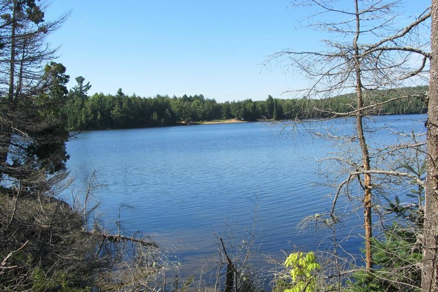 Canisbay Lake Day Use Area景点图片