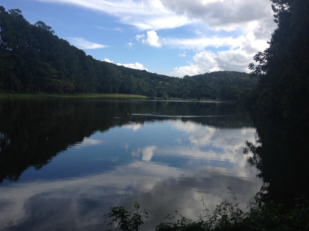 波苏阿雷格里旅游景点-Parque Natural Municipal de Pouso Alegre