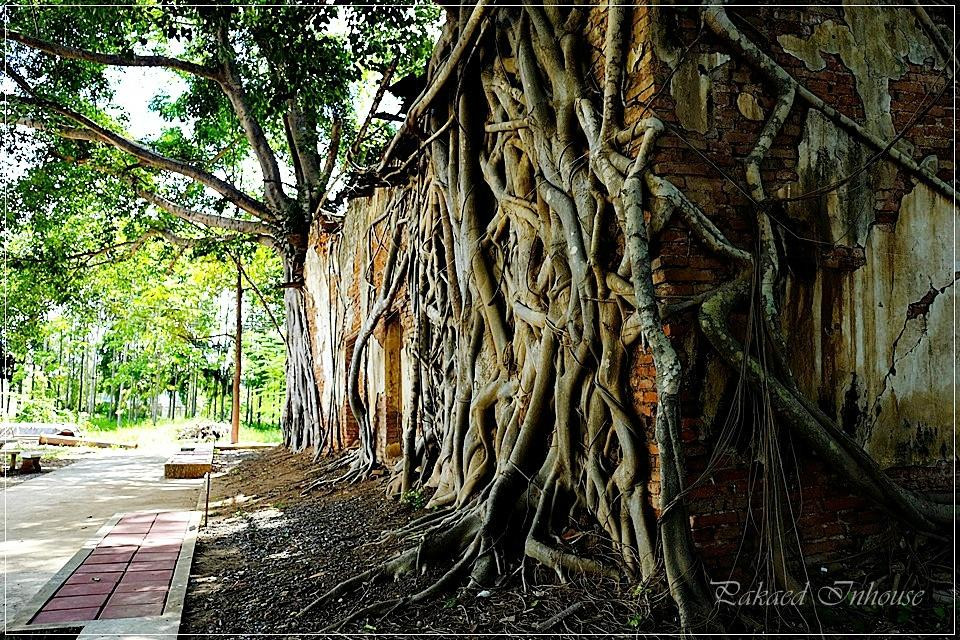 Sang Kra Tai Temple-红统必去景点