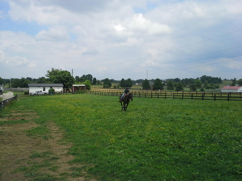 Sunburst Horsemanship School-列克星敦必去景点