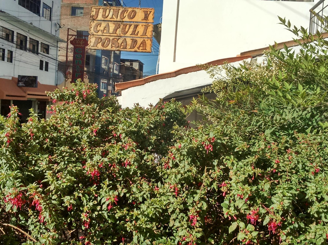 万卡约酒店住宿-Posada Junco y Capuli